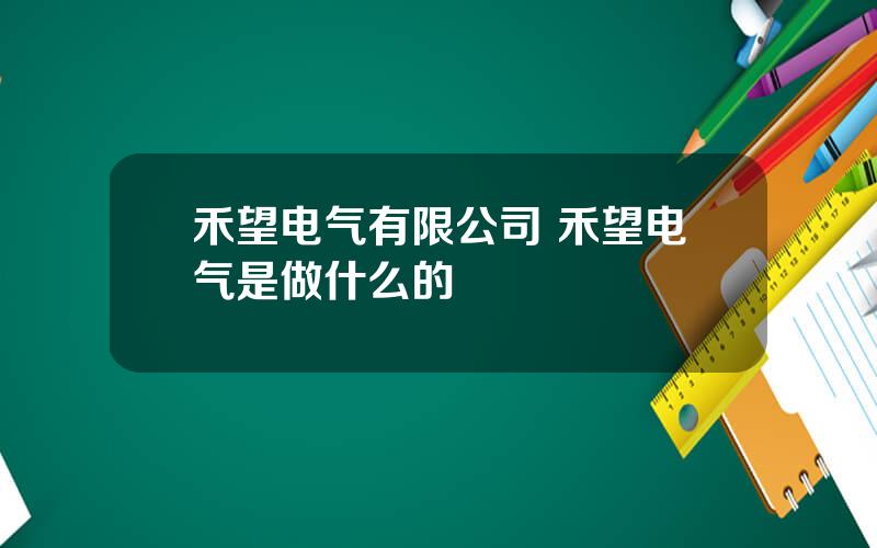 禾望电气有限公司 禾望电气是做什么的